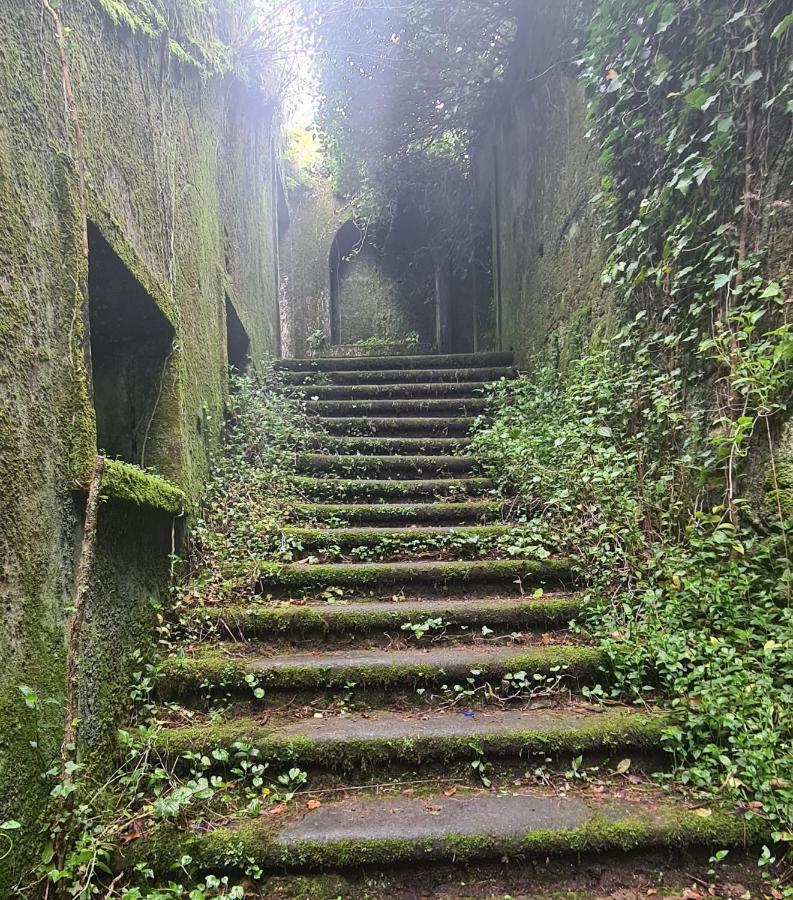 Casa Beira Rio Villa Viana do Castelo Dış mekan fotoğraf